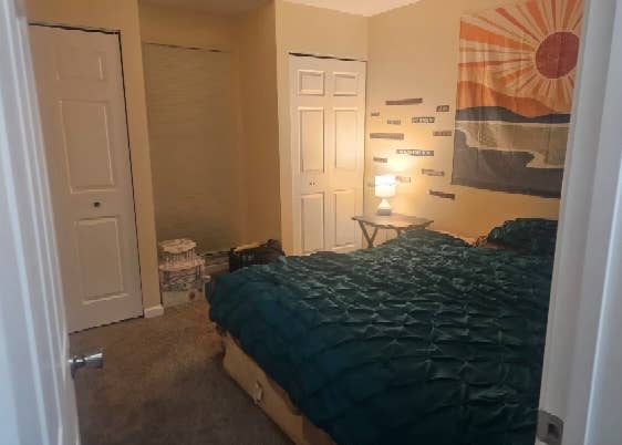 Looking for a roommate