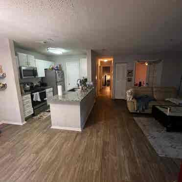 Looking to sublease my apartment