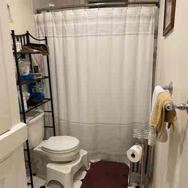 1 Room in North Brookline