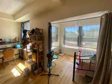 Delmar loop sublease October-August