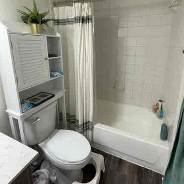 Private room/bathroom for rent