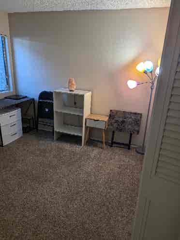 Looking for a chill roommate.