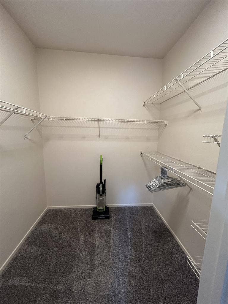 Primary room to rent- Spring Valley