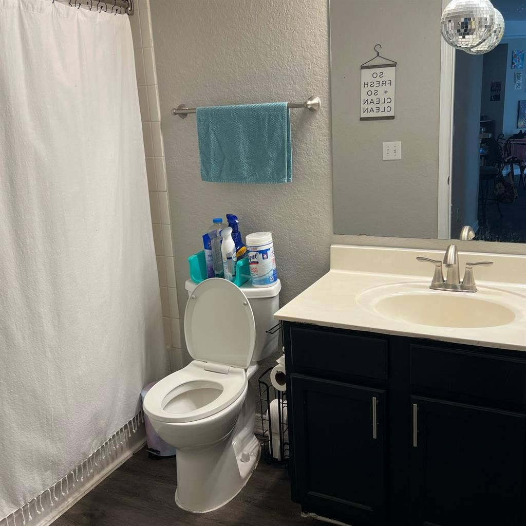 Roommate needed by October!