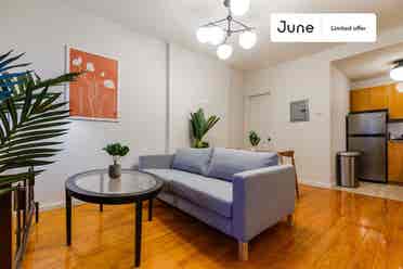 1 BR in New York City