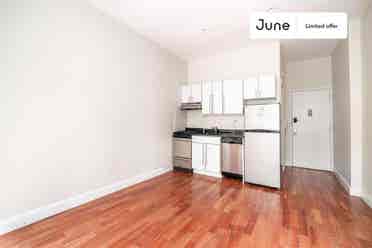 1 BR in New York City