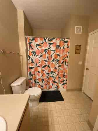 Room for rent in Longmont