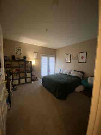 Room for rent in Longmont