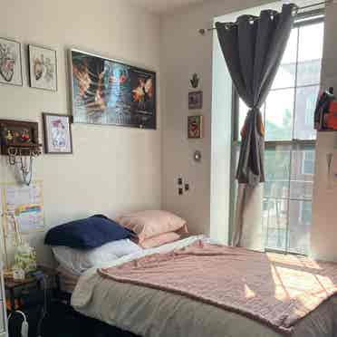 /monthly  room in crown heights