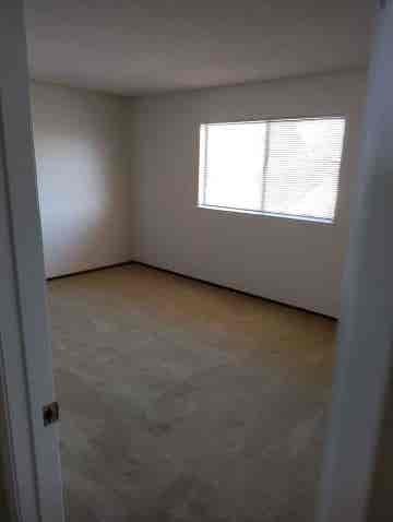 1 spacious bedroom for rent