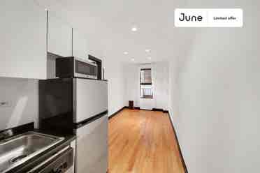 1 BR in New York City