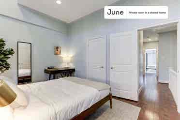 5 BR in Washington DC