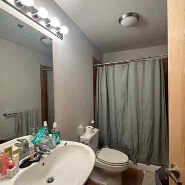 Room with own bathroom for rent