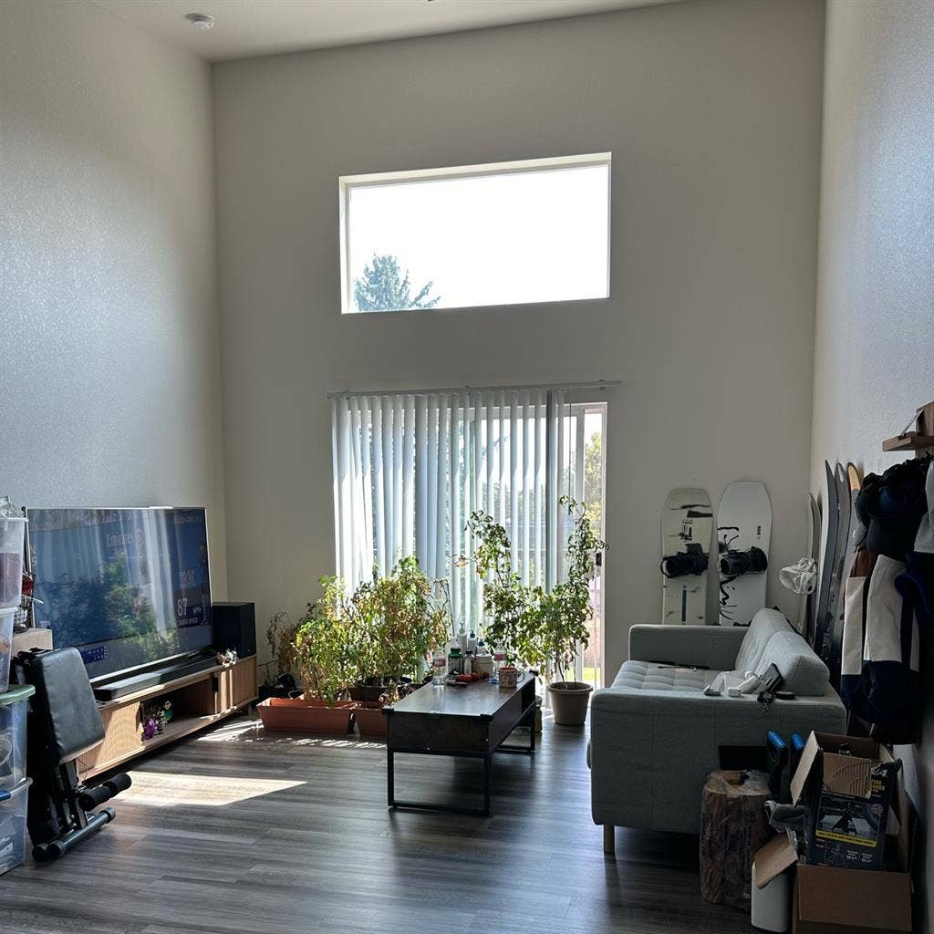 Seeking roommate Lakewood area