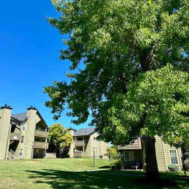 Cute apartment in Beaverton