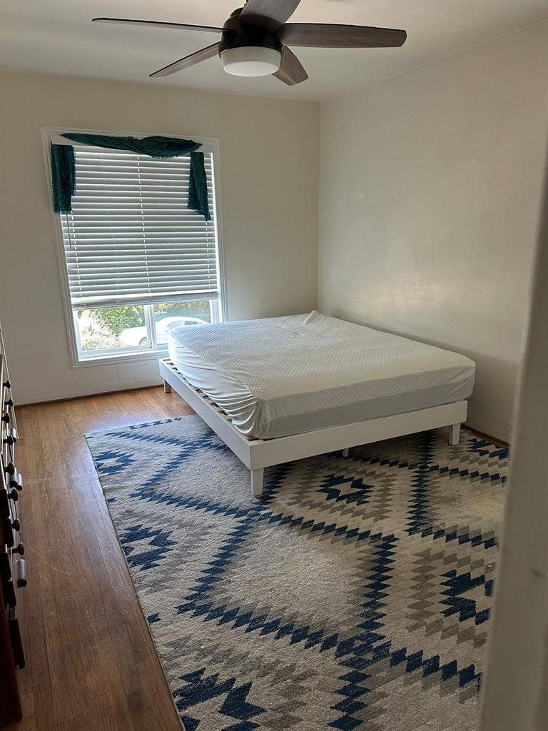 Looking for a roommate