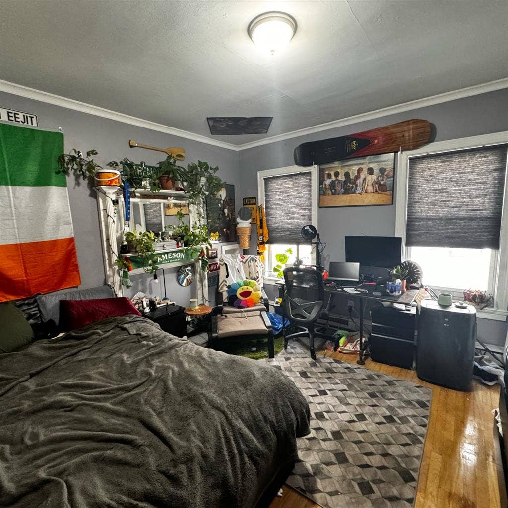 Room in Jamaica plains (Nov-April)