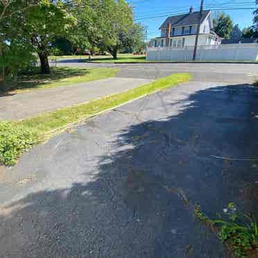 Beautiful sunny clean one bedroom