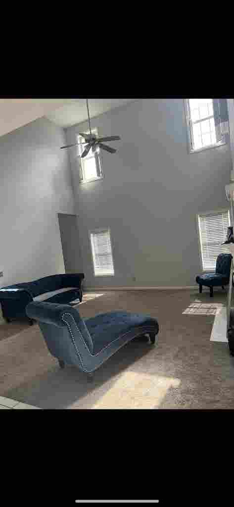 Roommate Needed in House