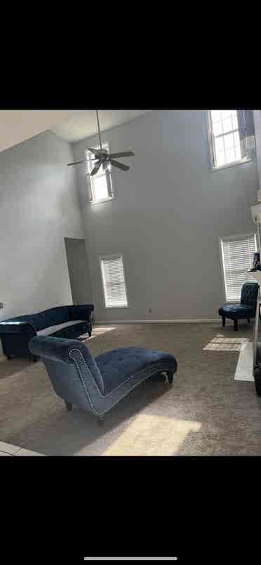 Roommate Needed in House