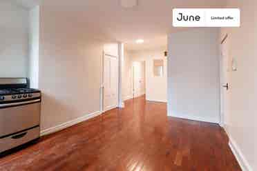 1 BR in New York City