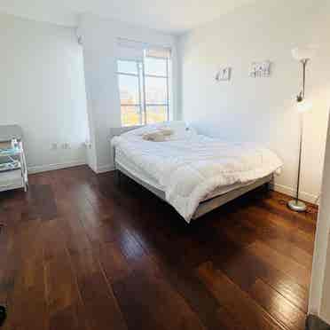 Bright spacious 
room