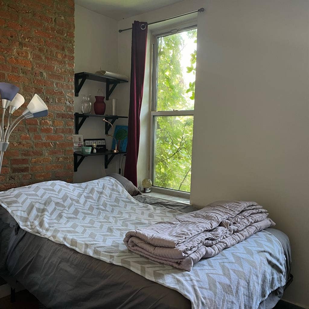 Beautiful, bright room in BedStuy