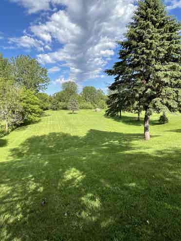 Private Room, Huge Yard