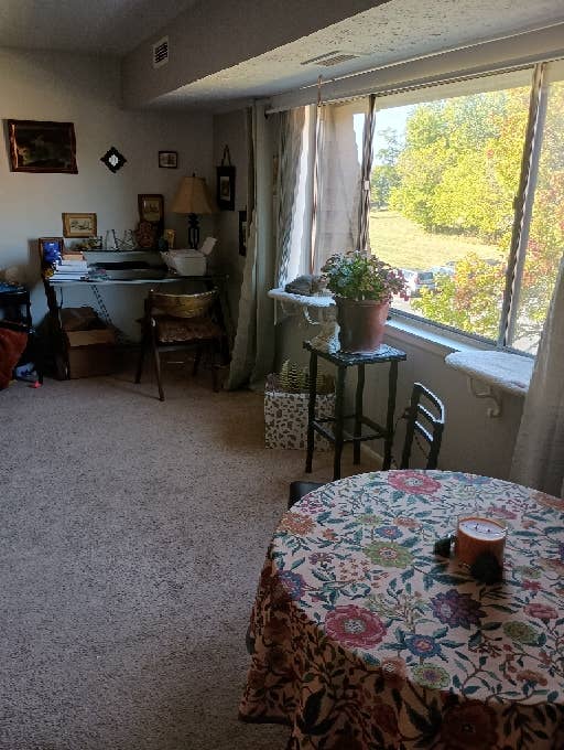 One bedroom apartment available Dec