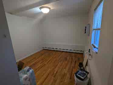 Looking for roommate in Queens