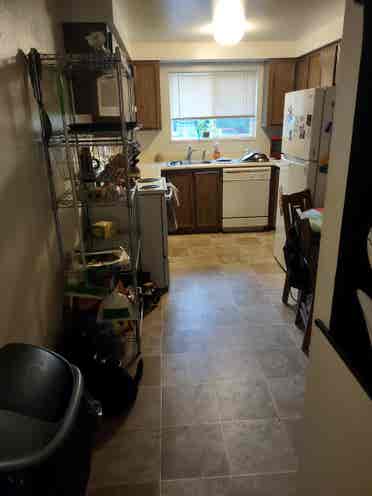 2room w/ bathroom, w/small backyard