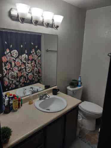 2room w/ bathroom, w/small backyard