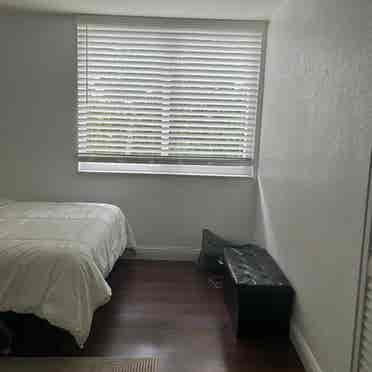 Furnished room available