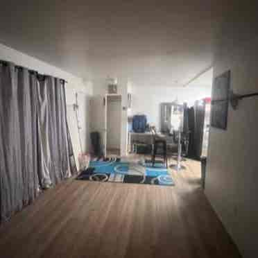 Room in Hollywood Available