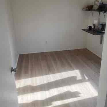 Room in Hollywood Available