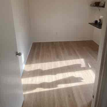 Room in Hollywood Available