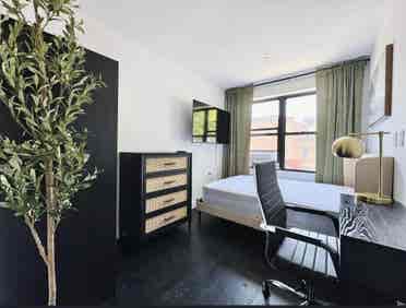 Furnished Room in Fort Greene