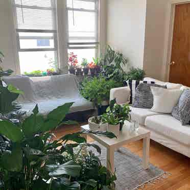 Female only 4br apt in Sunnyside