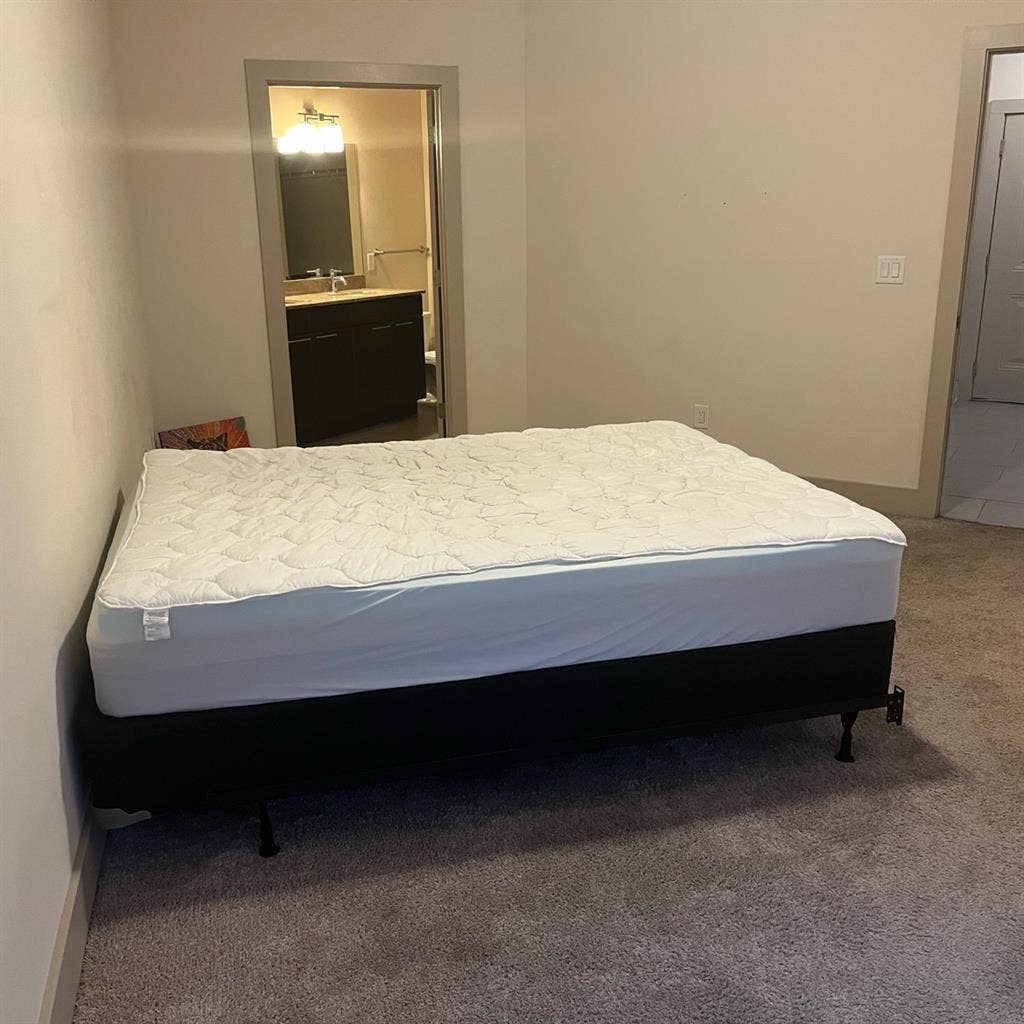 November move in roomie needed