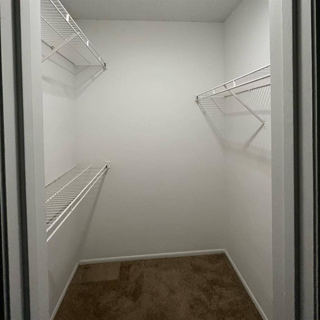 Looking for Roommate/room available