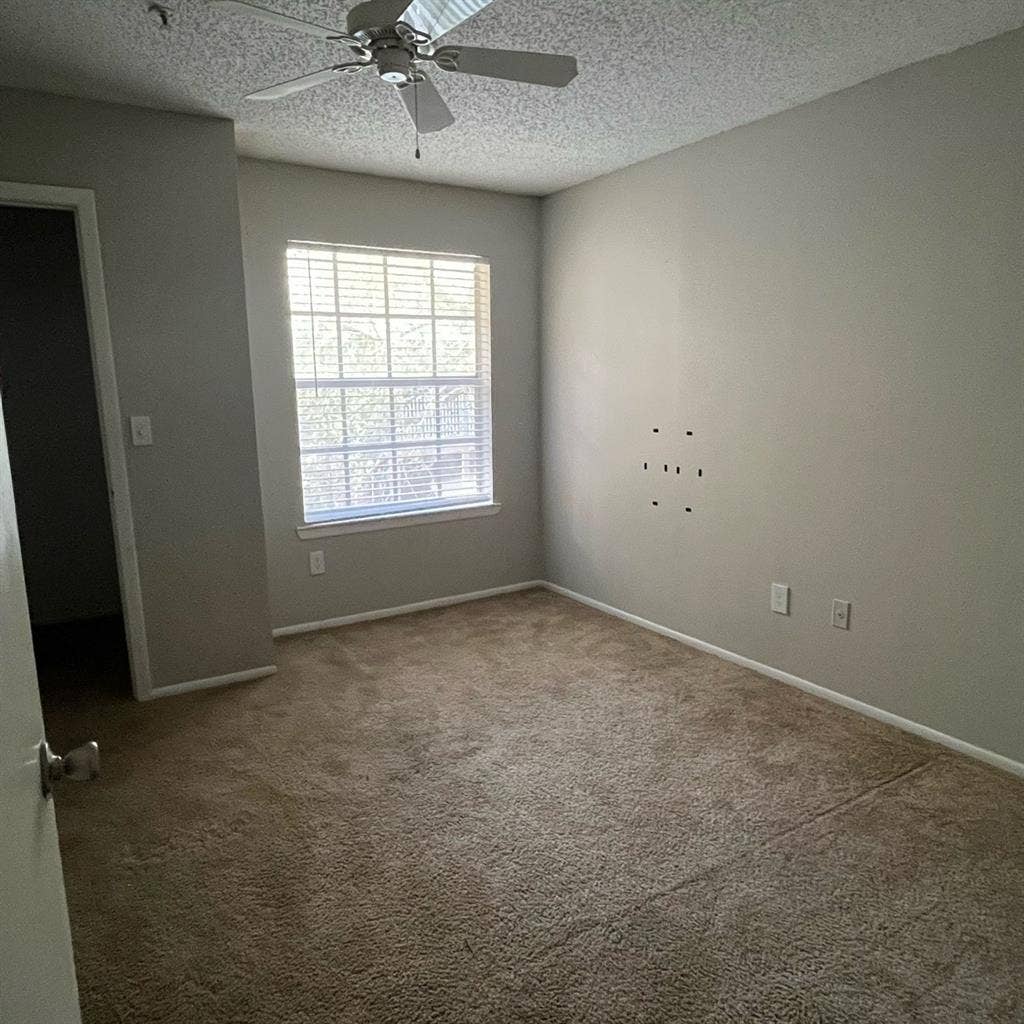 Looking for Roommate/room available