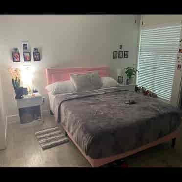 Female roommate $ Newcastlee