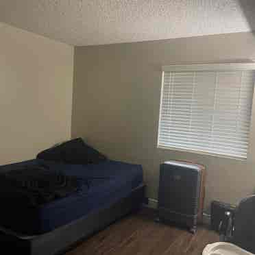 Couple Looking For Cool Roommate