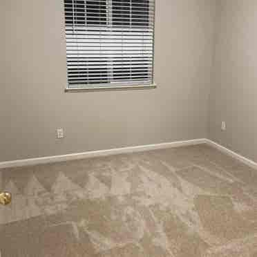 One private room for rent in rodeo