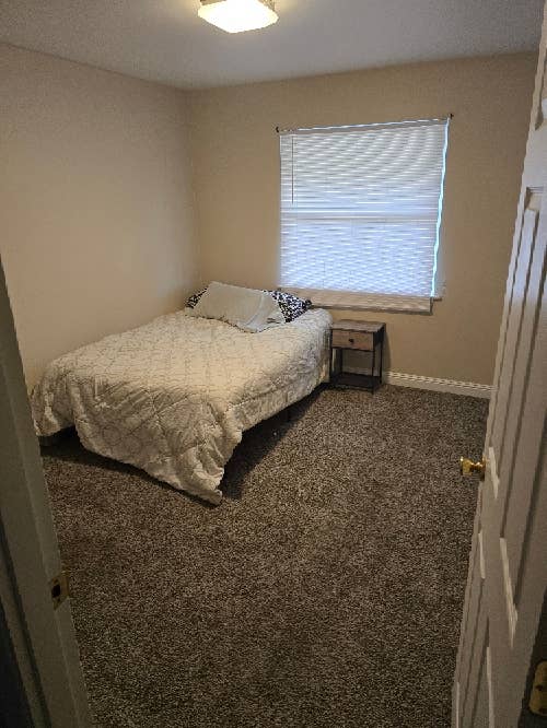 Looking for a roommate