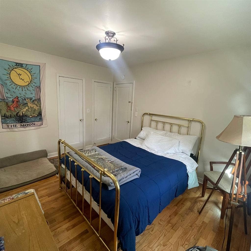 Student looking for roommate