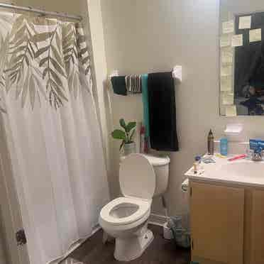 **APARTMENT ROOM FOR RENT**