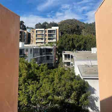 Runyan Canyon Apt room
🏳️‍🌈🏳️‍⚧️