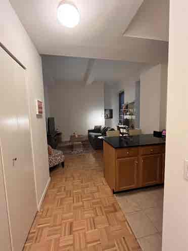 **Large one bedroom in FiDi**