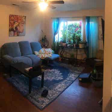 Oceanside coastal house share DEC